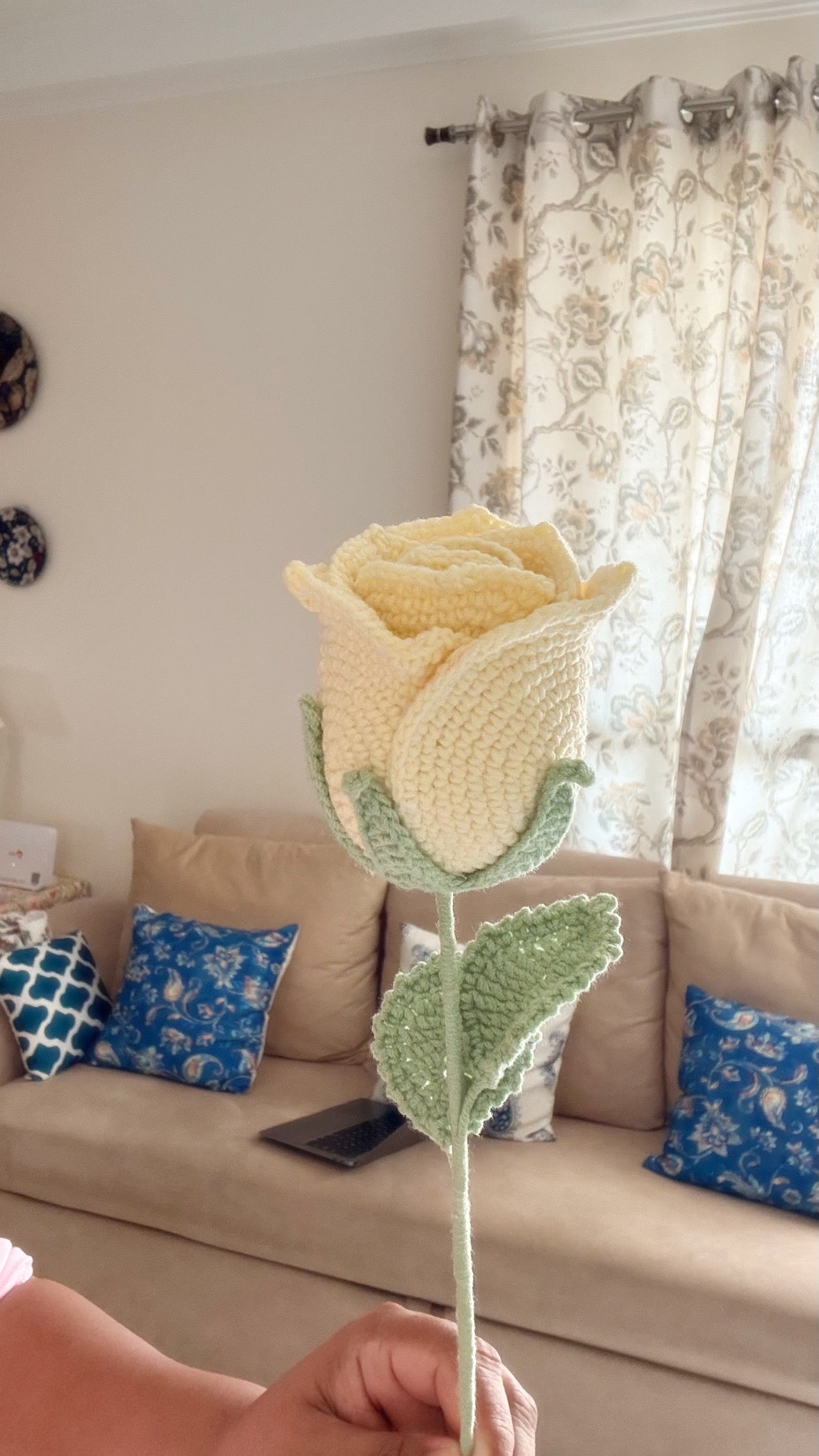 Wine Rose