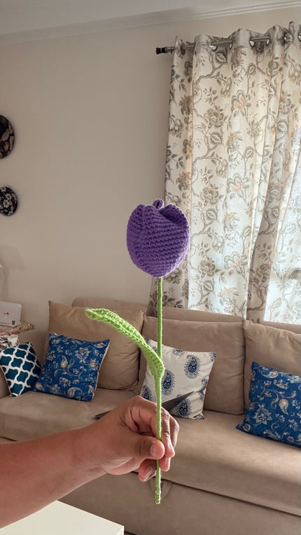 Tulips Flower