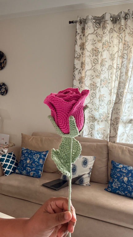Wine Rose
