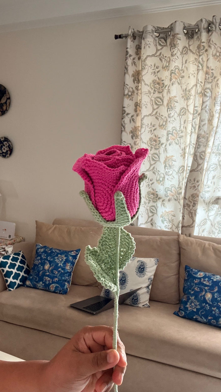 Wine Rose