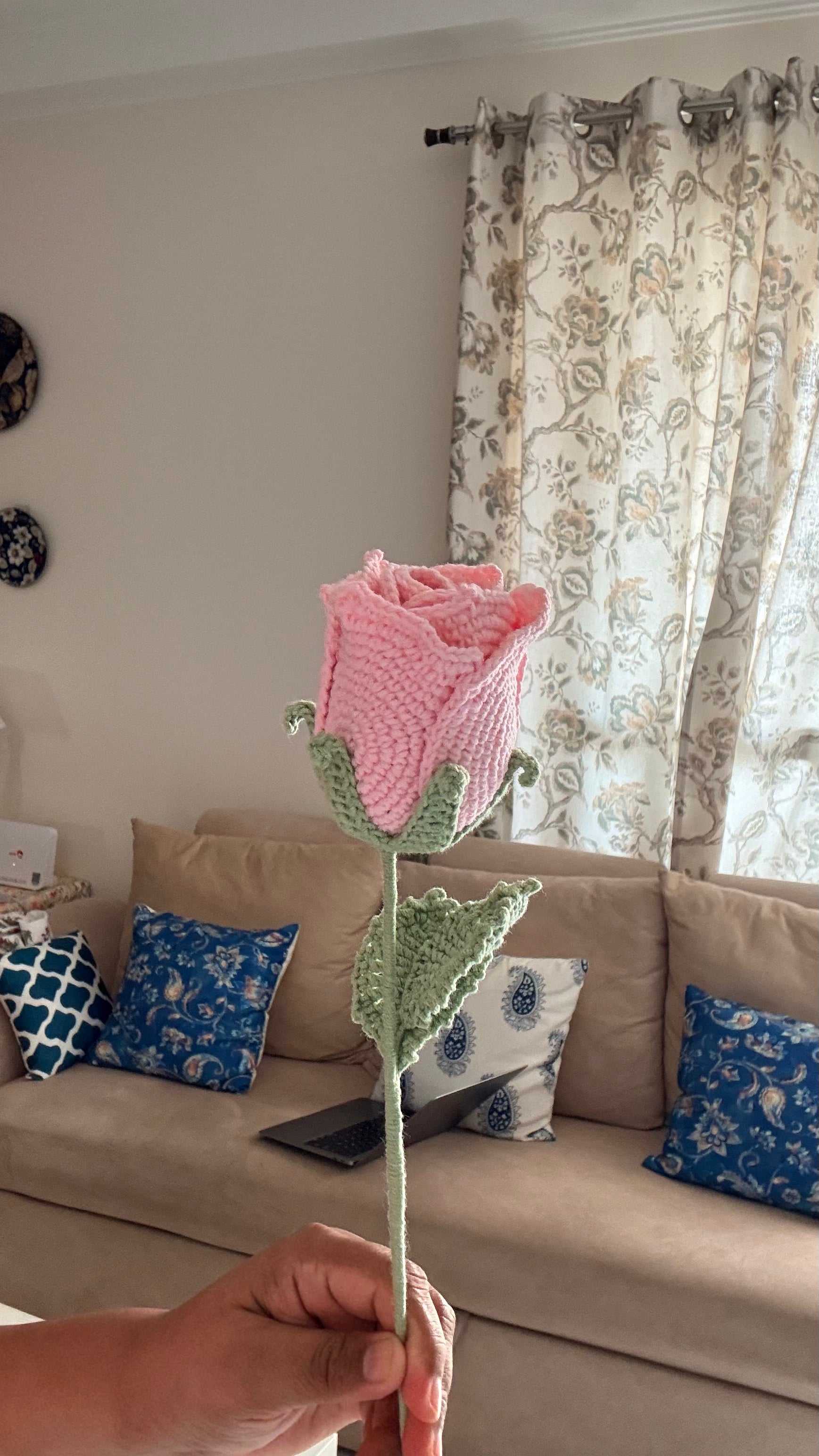 Wine Rose