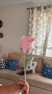 Wine Rose