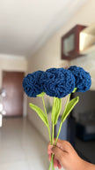 Carnation Flower