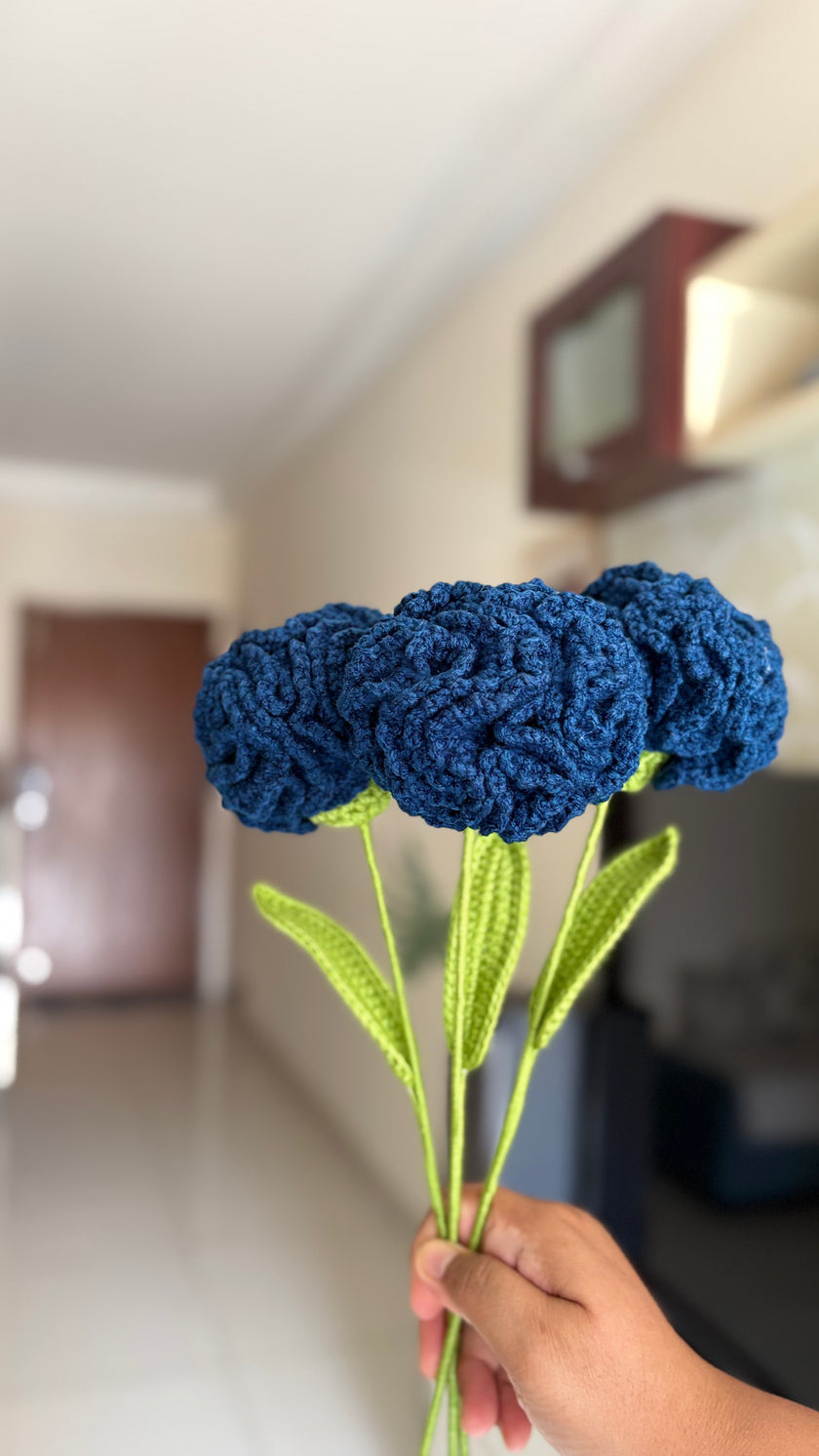 Carnation Flower