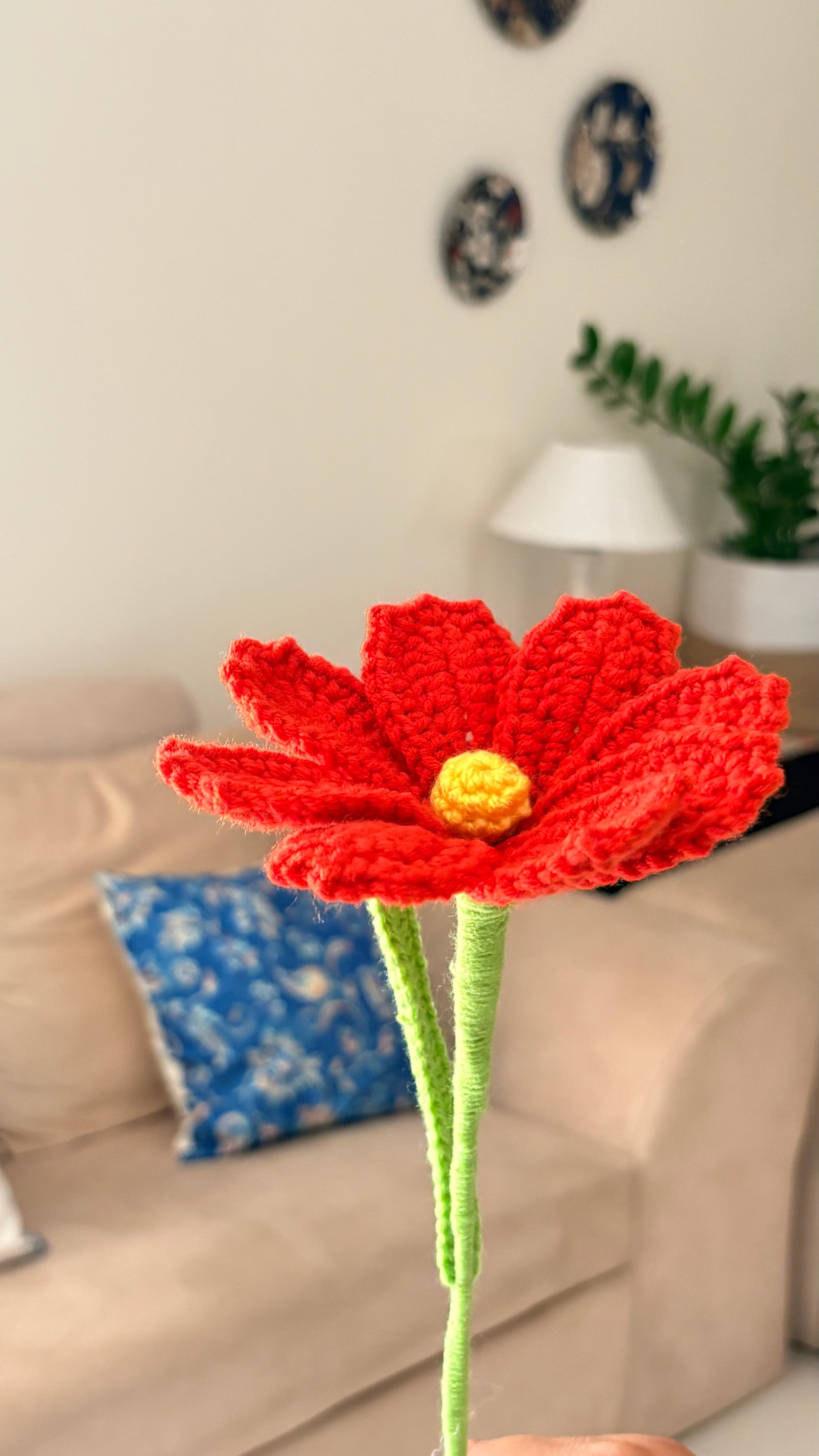 Cosmos Flower