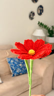 Cosmos Flower