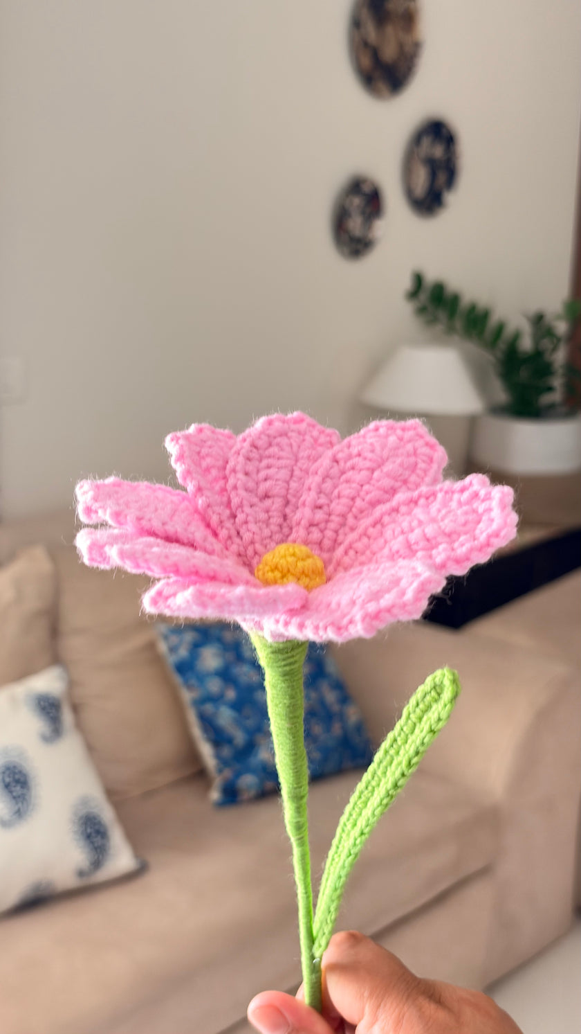 Cosmos Flower