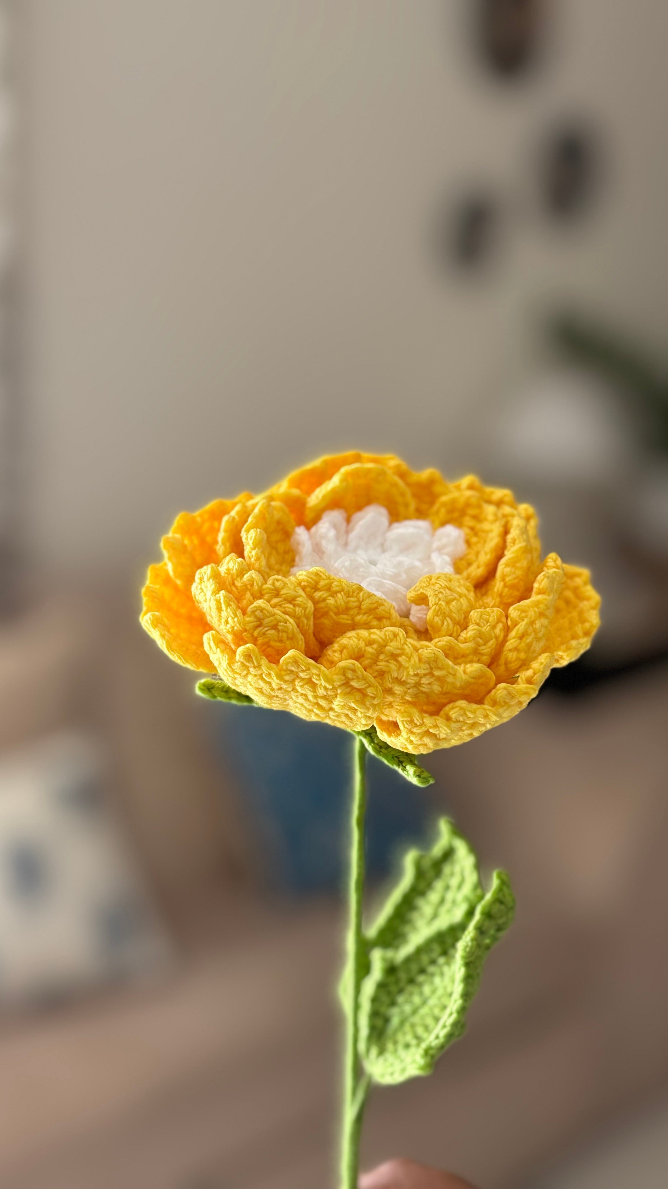 Peony Flower