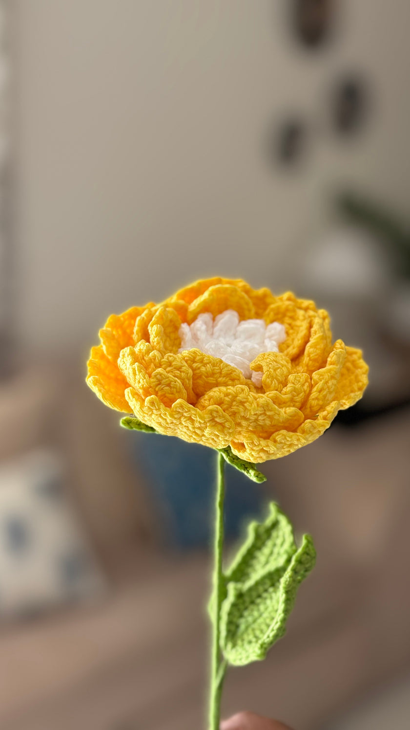 Peony Flower