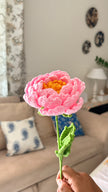 Peony Flower