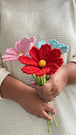 Cosmos Flower