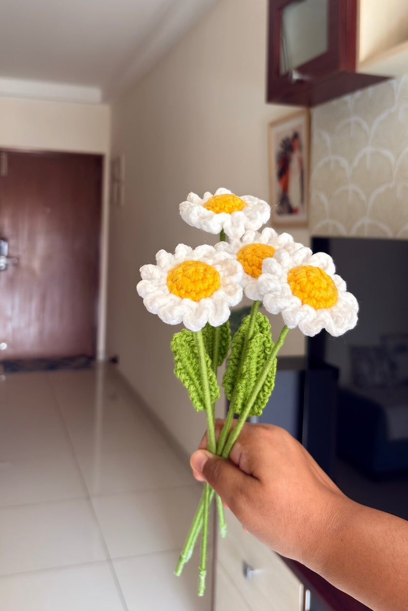 Daisy Flower